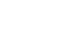 exercito